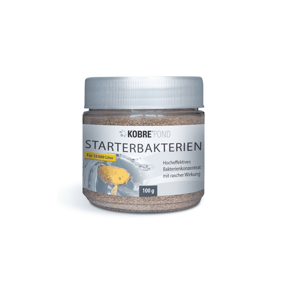 Starter bacteria