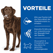 Canine Adult Healthy Mobility Large Breed