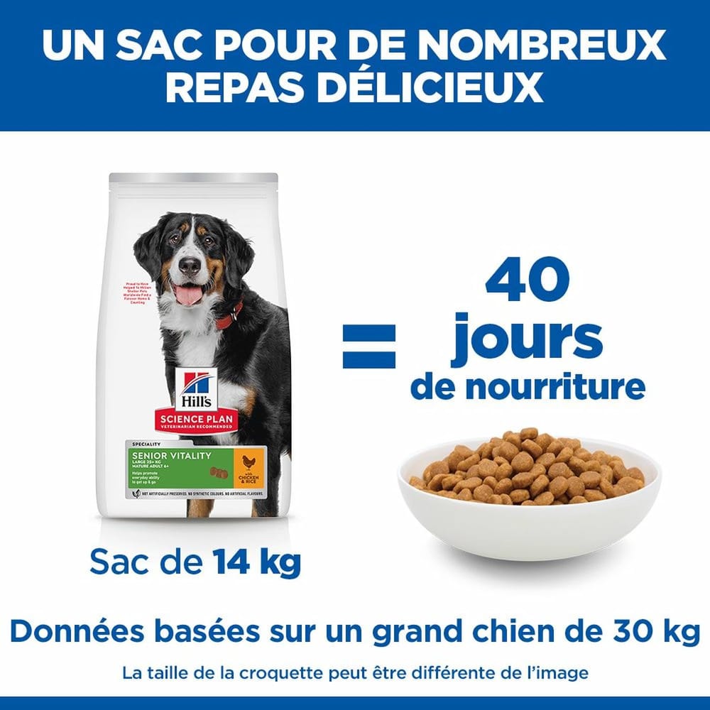 Canine Senior Vitality 6+ Large Breed
