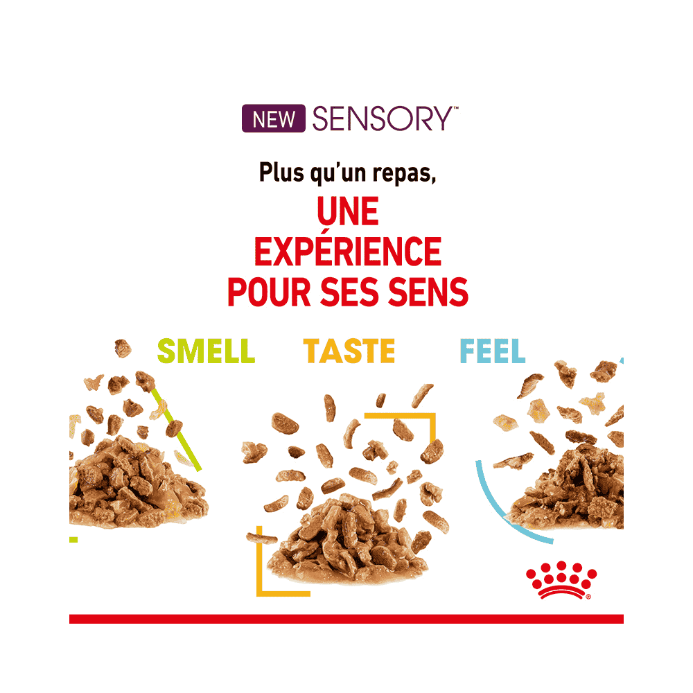 Sensory SMELL (Morceaux en sauce) Sachets