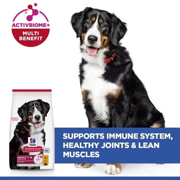 Canine Adult Large Breed Chicken