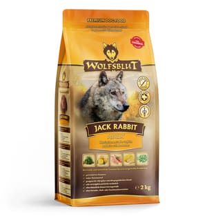 Jack Rabbit Adult
