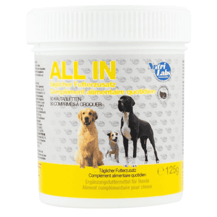 ALL IN