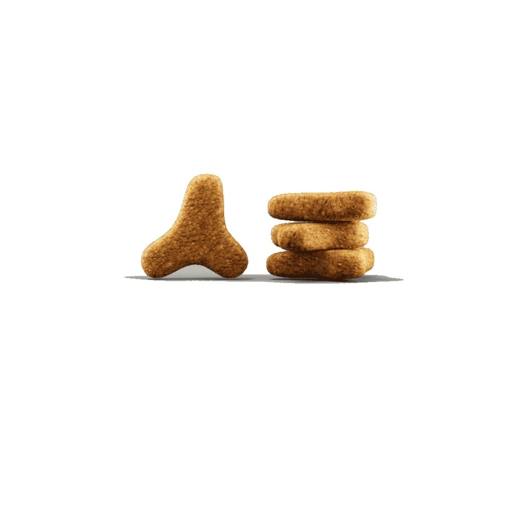 Urinary Cat dry
