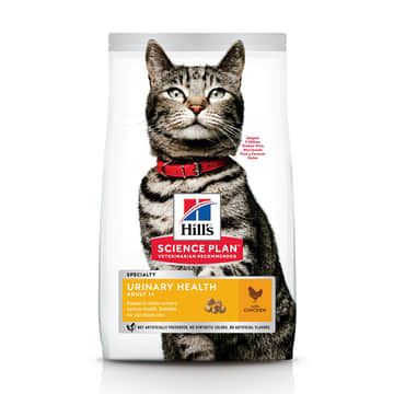 Feline Urinary Health
