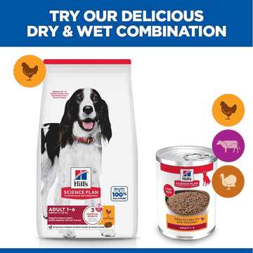 Canine Adult Chicken - Can