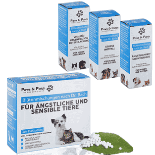 Blütenmischung 3er Set für ängstliche und sensible Tiere