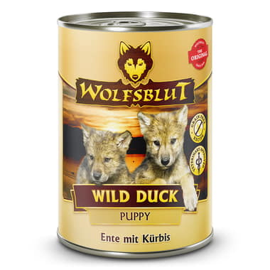 Wild Duck Puppy Wet