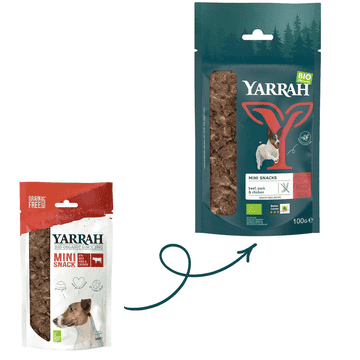 Organic mini snack for dogs