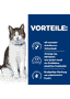 Feline Gastrointestinal Biome Stress