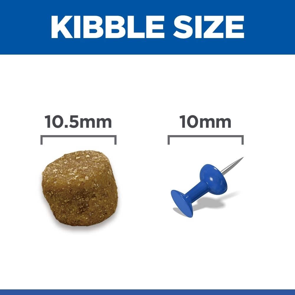 Canine Adult Light Medium Breed
