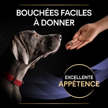 CANINE FortiFlora Chews
