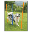 Agility Slalom-Set