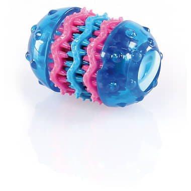 Dental Block