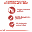 Instinctive  en sauce - sachet