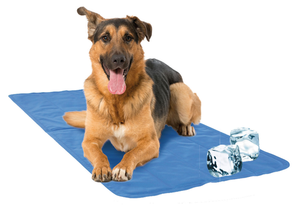 Nattes de refroidissement pour animaux COOL