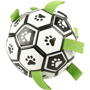 Football canin