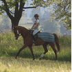 Riding fly rug Summer Stroll - green