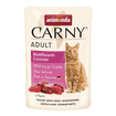 Carny Adult Cat
