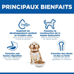 Puppy Large Breed