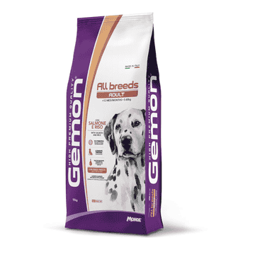 Adult All Breeds Lachs & Reis