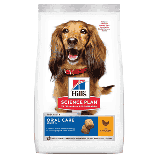 Canine Oral Care Adult