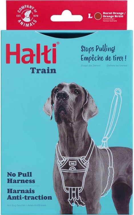 No Pull Harness, orange