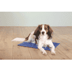 Cooling Mat blue