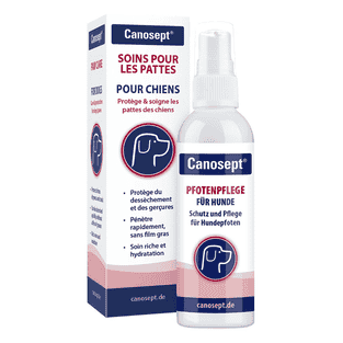 Soins pour les pattes