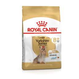 Yorkshire Terrier 8+