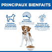 Canine Adult Light Medium Breed