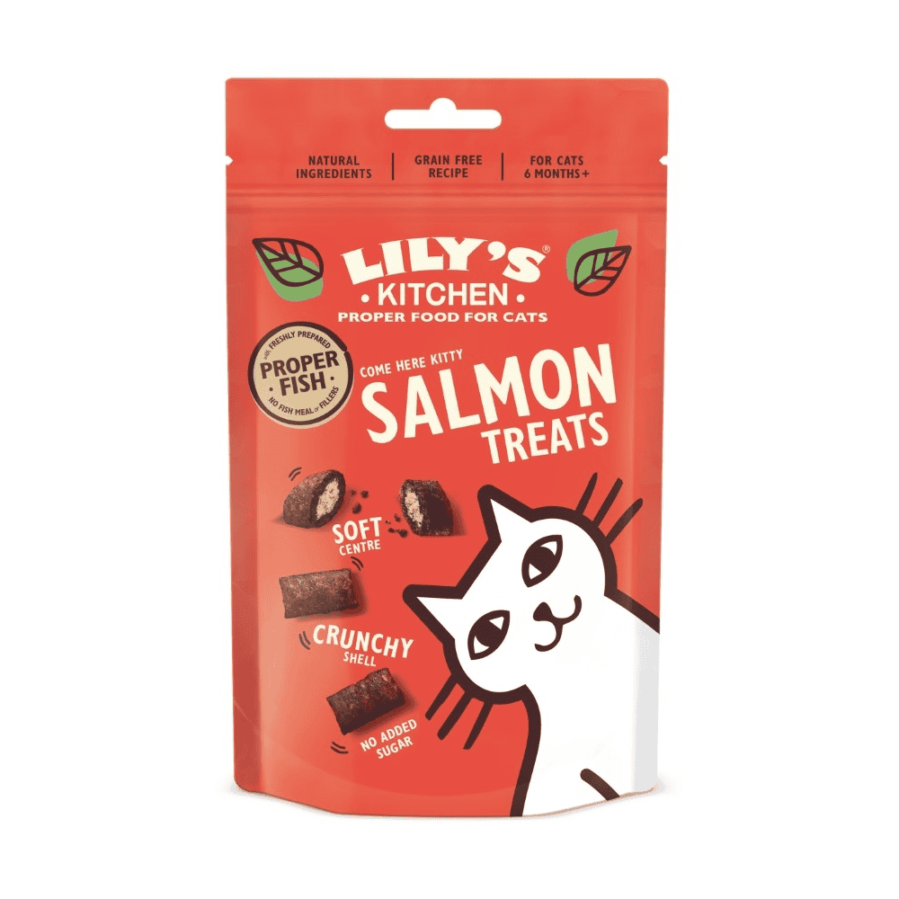 Salmon Treats for Cats