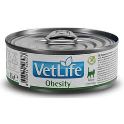 Feline Adult Obesity