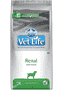 Canine Renal