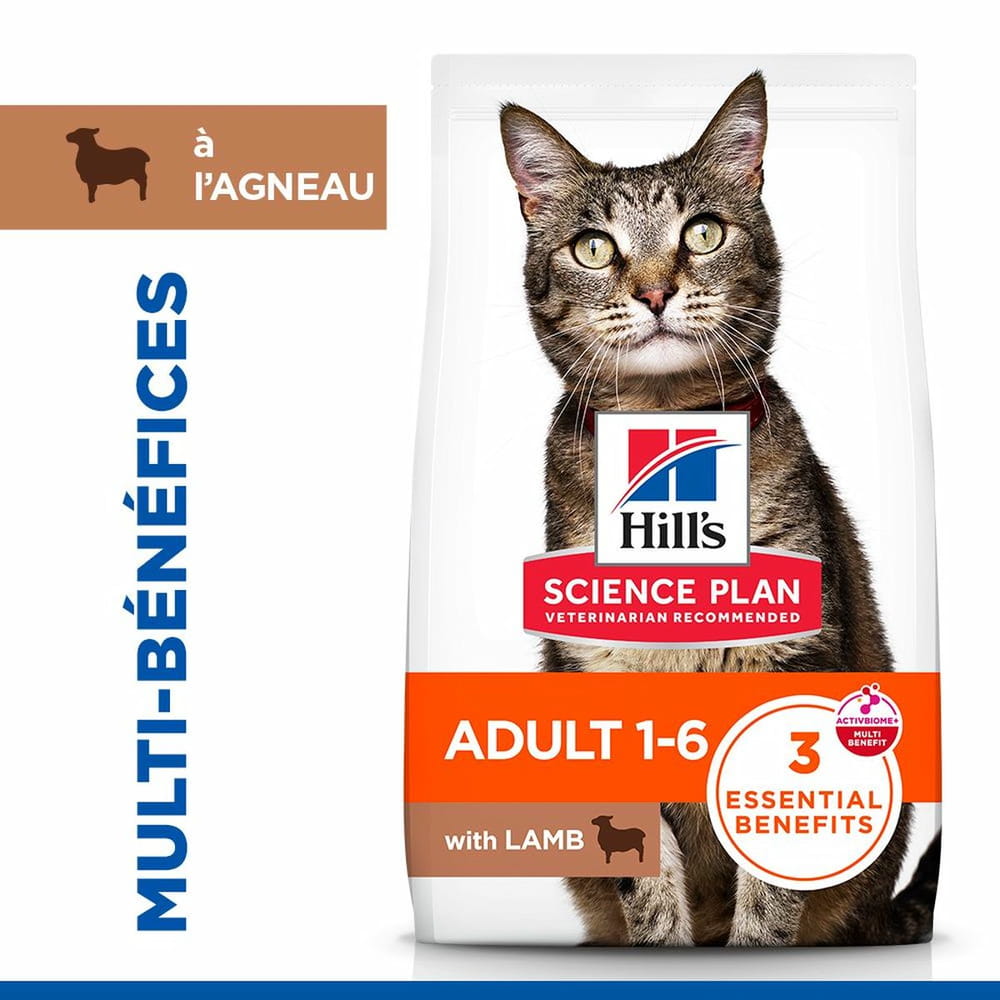 Feline Adult with Lamb