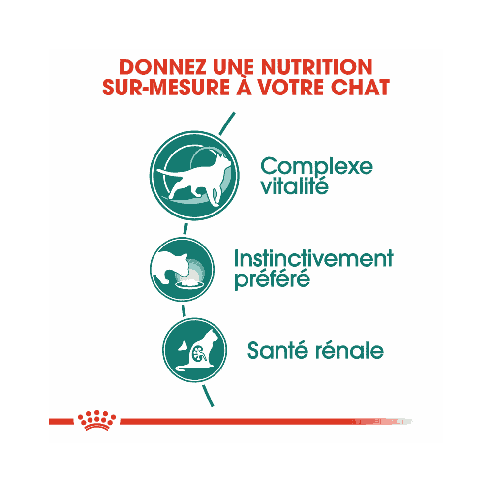 Instinctive 7+ en sauce - sachet