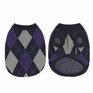 Pullover pour chiens Gallon British Violet