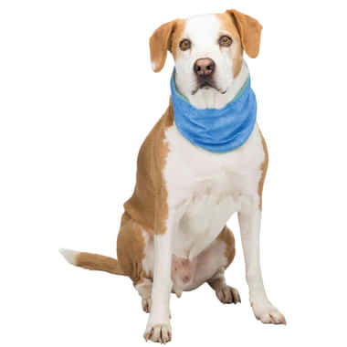 Kühlbandana PVA