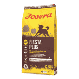 FiestaPlus