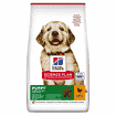 Puppy Large Breed