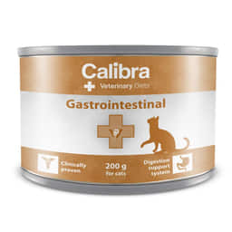 Feline Gastrointestinal