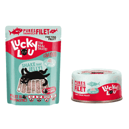 Thunfischfilet in Jelly