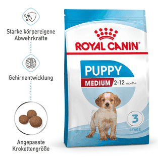 Medium Puppy