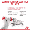Babycat Milk