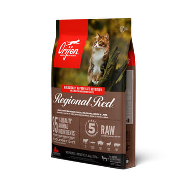 REGIONAL RED Cat