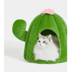 Haus Oasis Cactus