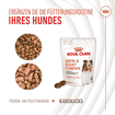 Skin & Coat Chews Adult Supplements