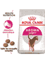 Aroma Exigent