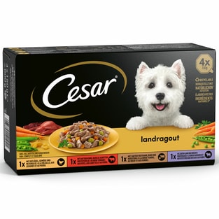 Landragout in Sauce