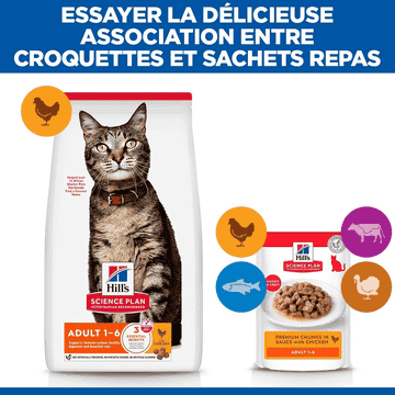 Feline Adult Chicken - Sachets